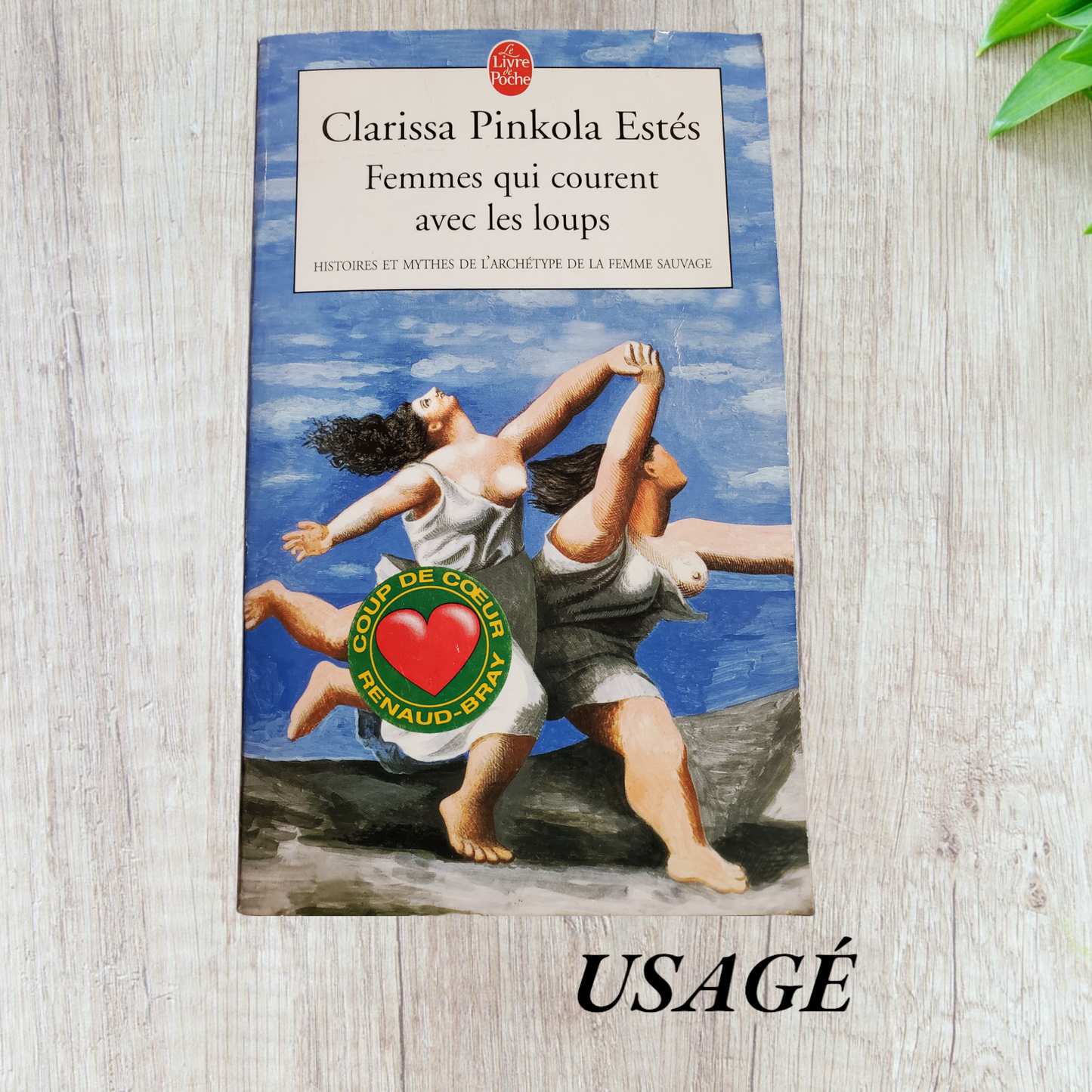 Femmes qui courent avec les loups : Histoires et mythes de l'archétype de la femme sauvage de Clarissa Pinkola Estés