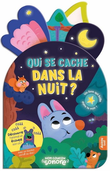 Qui se cache dans la nuit ?