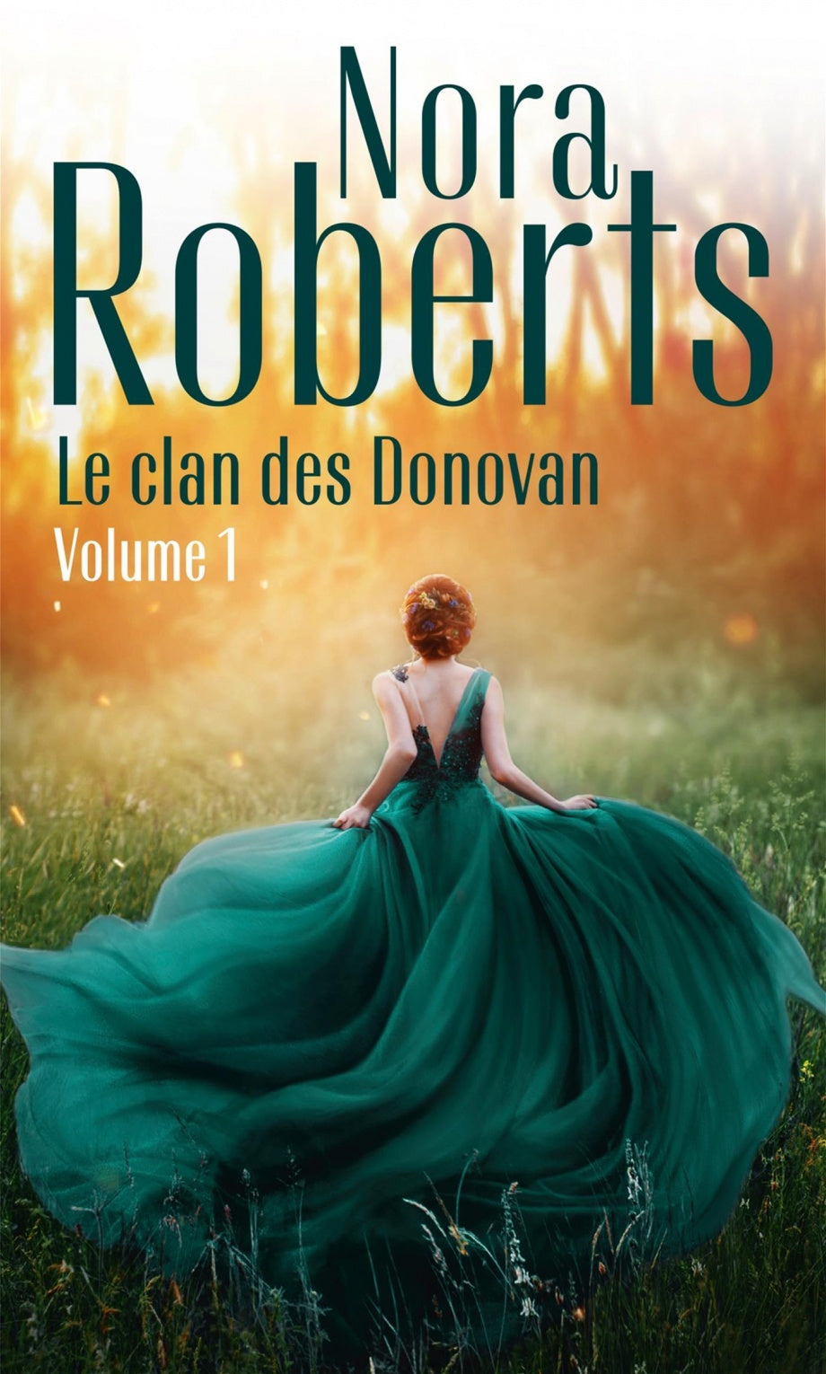 Le clan des Donovan série 4 tomes (2 livres)