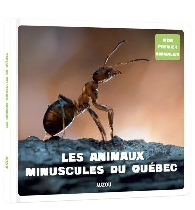 Les animaux minuscules du Québec