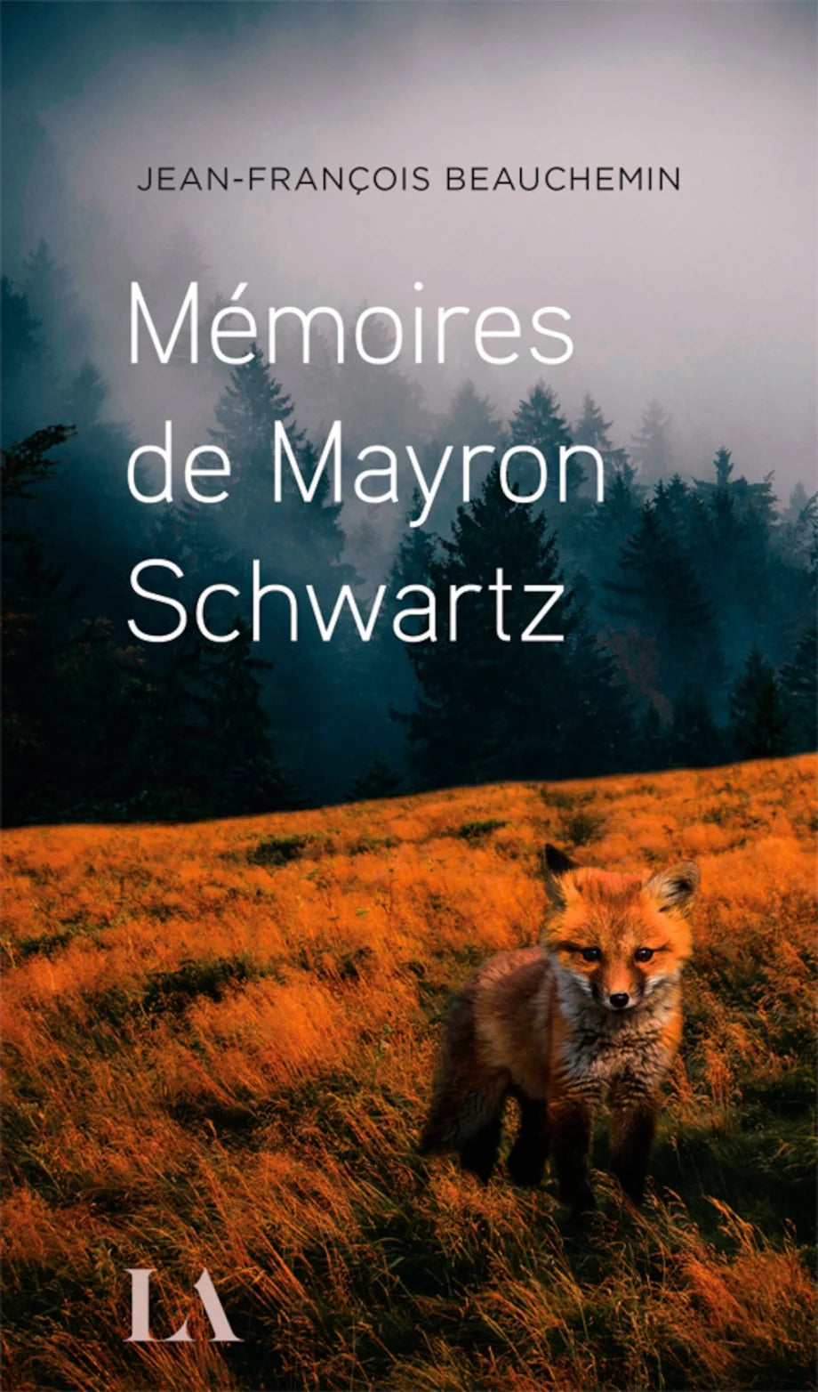 Mémoires de Mayron Schwarts