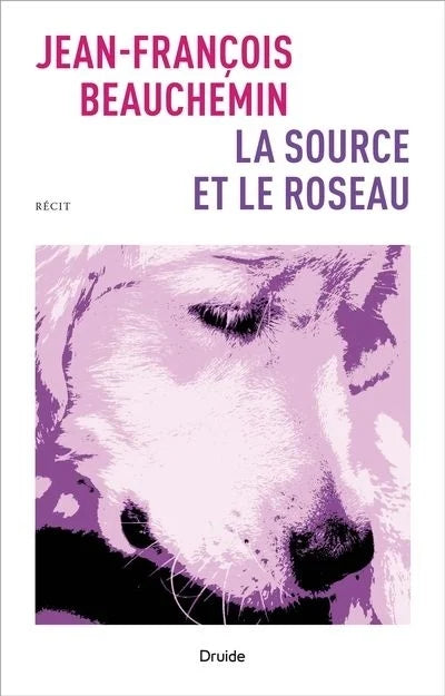 La source et le roseau