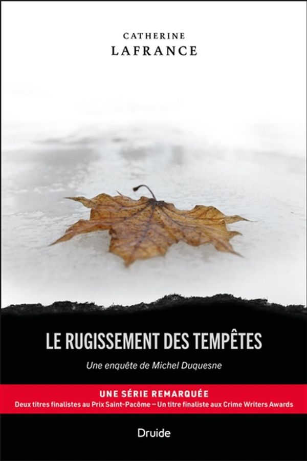 Le rugissement des tempêtes - une enquête de Michel Duquesne