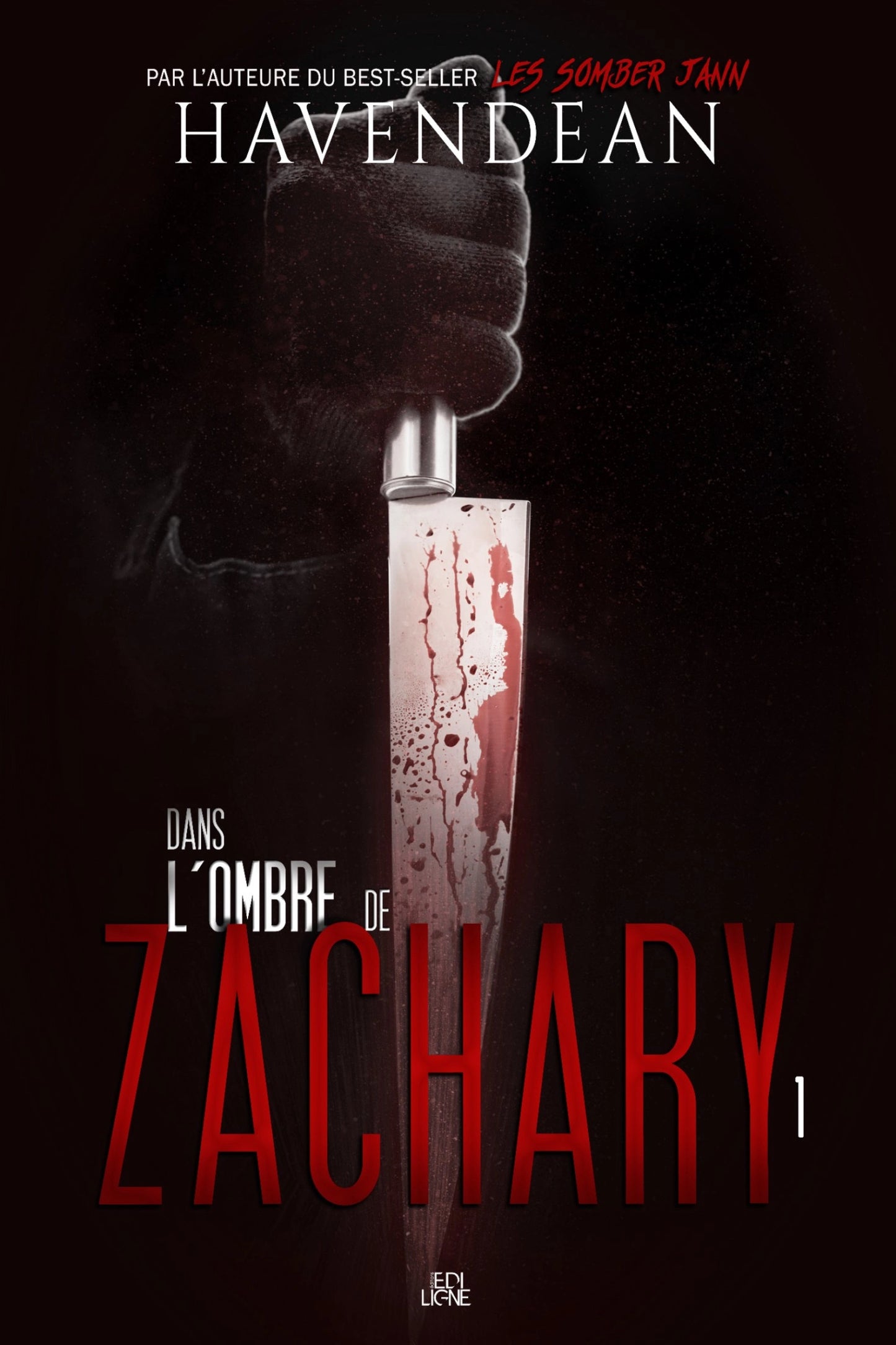 Dans l'ombre de Zachary T.1