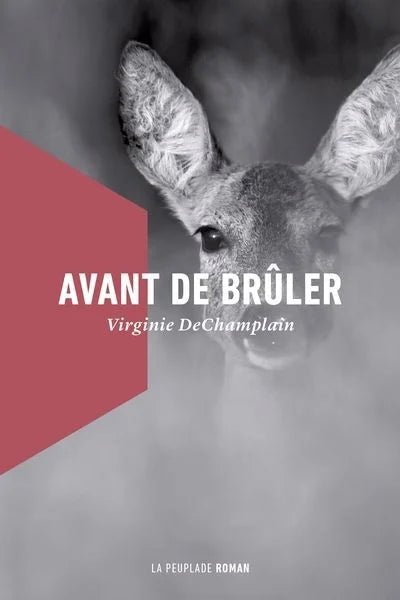 Avant de brûler