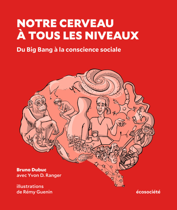 Notre cerveau à tous les niveaux Du Big Bang à la conscience sociale