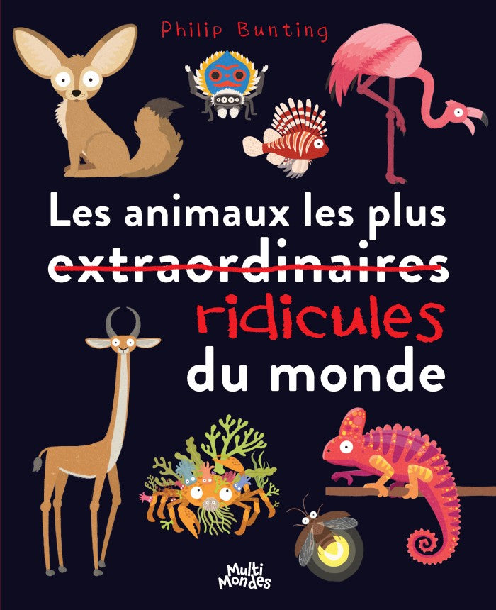 Les animaux les plus ridicules du monde