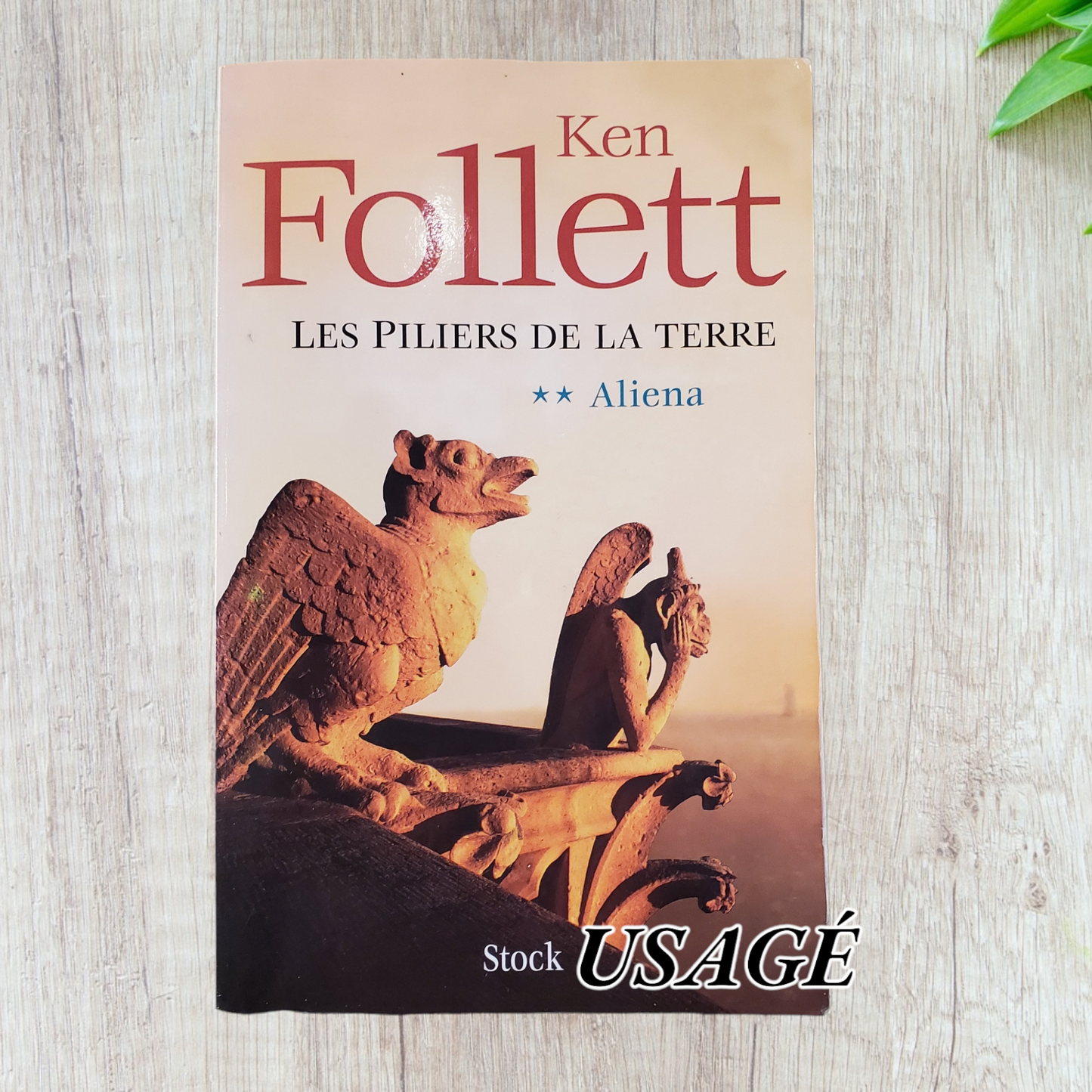 Les piliers de la terre - Aliena de Ken Follet