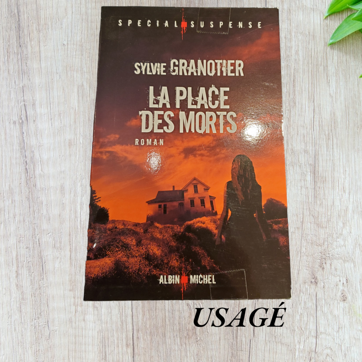 La place des morts de Sylvie Granotier