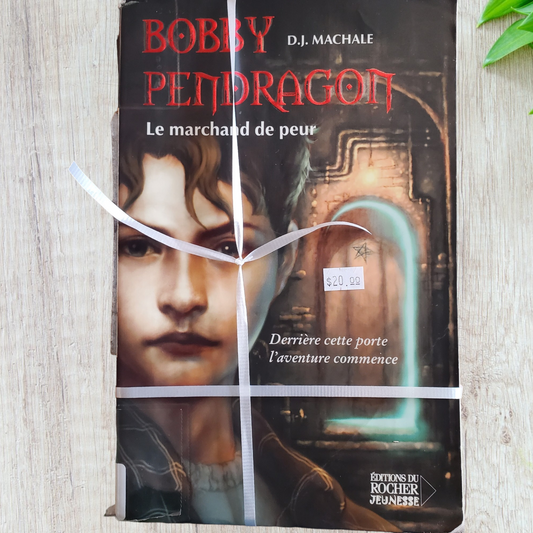 Série de Bobby Pendragon de D.J Machale