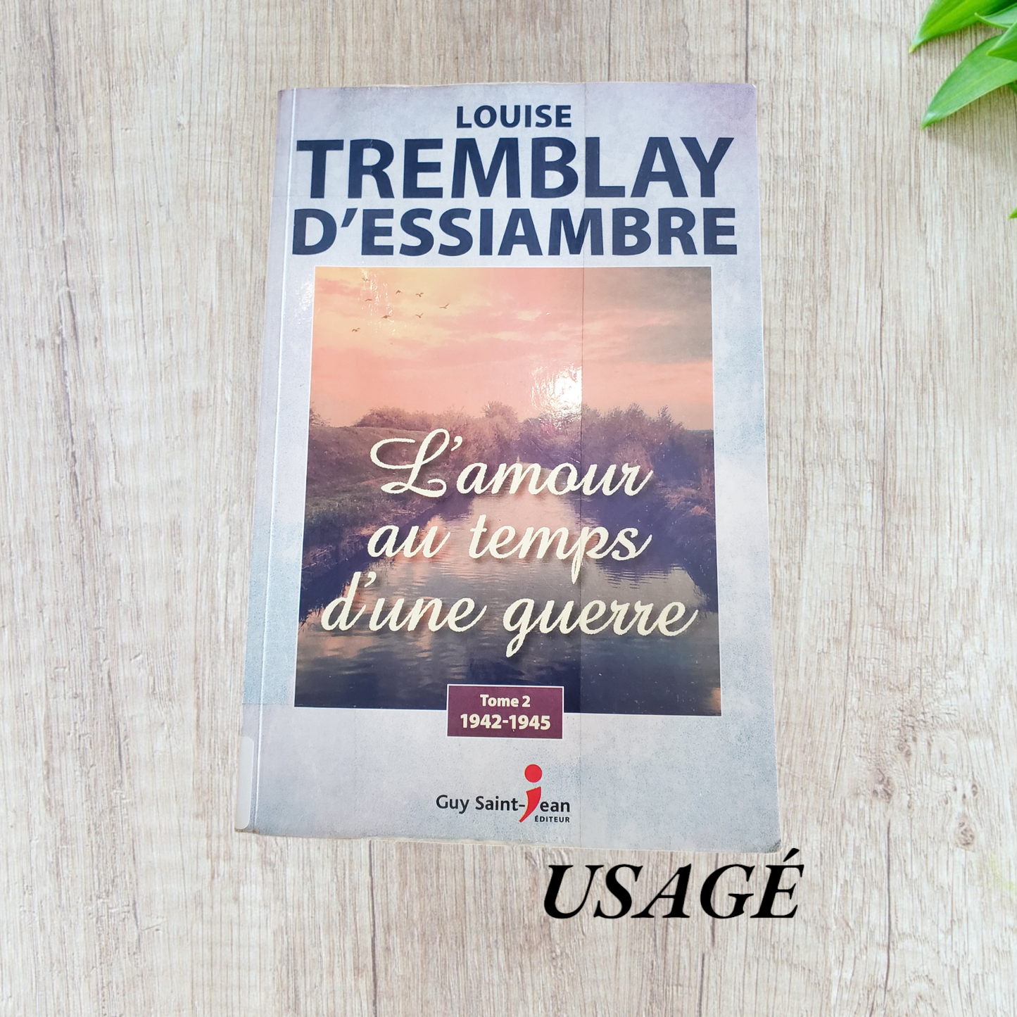 L'amour au temps d'une guerre Tome 2 de Louise Tremblay d'Essiambre