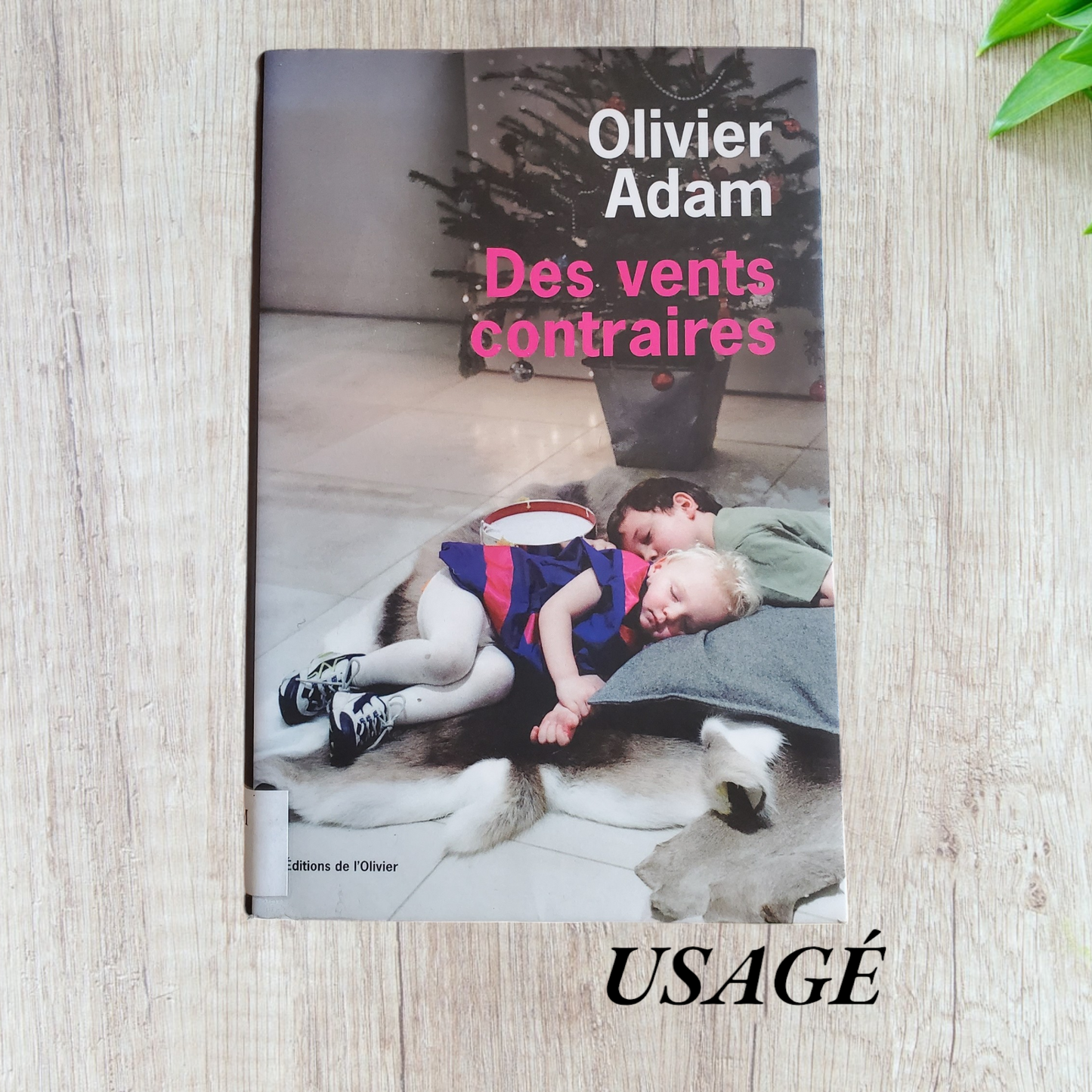 Des vents contraires de Olivier Adam