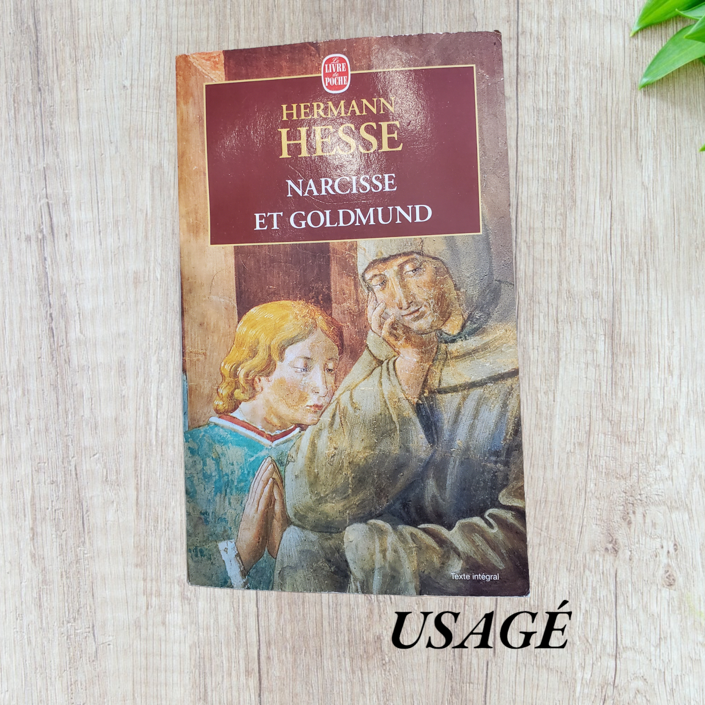 Narcisse et Goldmund de Hermann Hesse