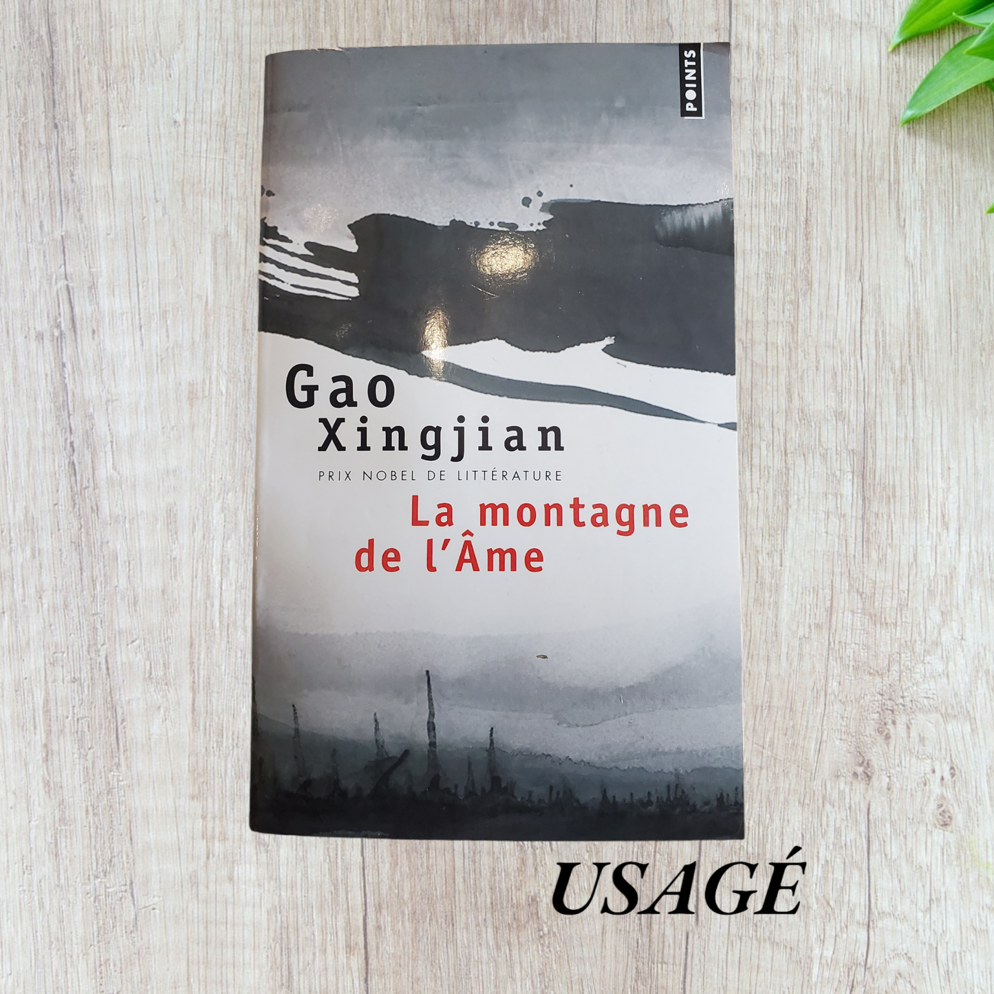 La montagne de l'Âme de Gao Xingjian