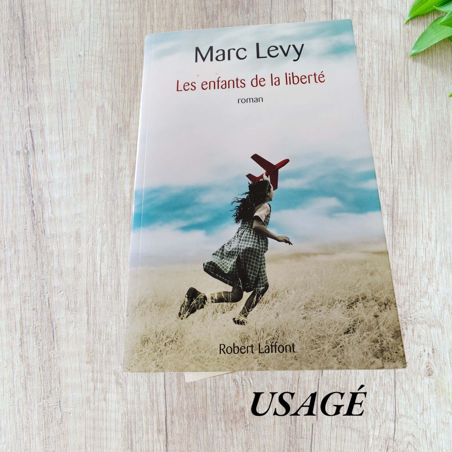 Les enfants de la liberté de Marc Levy