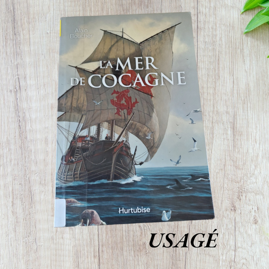 La mer de cocagne de Alain Boucher