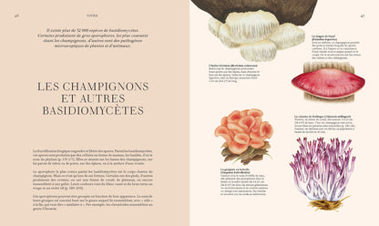 Fungi - Science et secrets des champignons