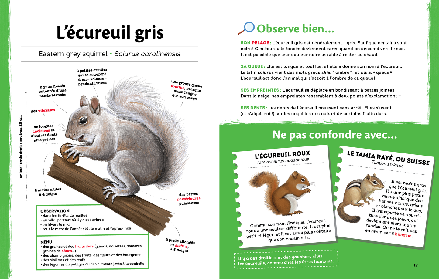 Les petits animaux d'ici