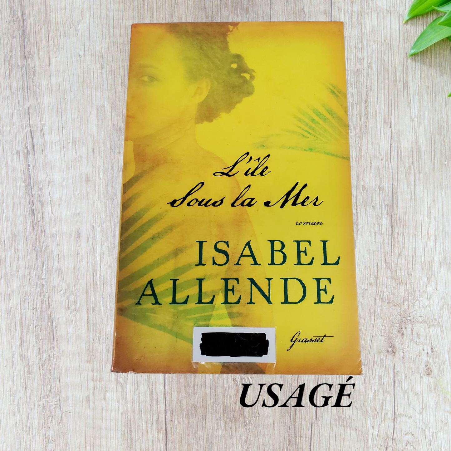 L'Île sous la mer d'Isabel Allende