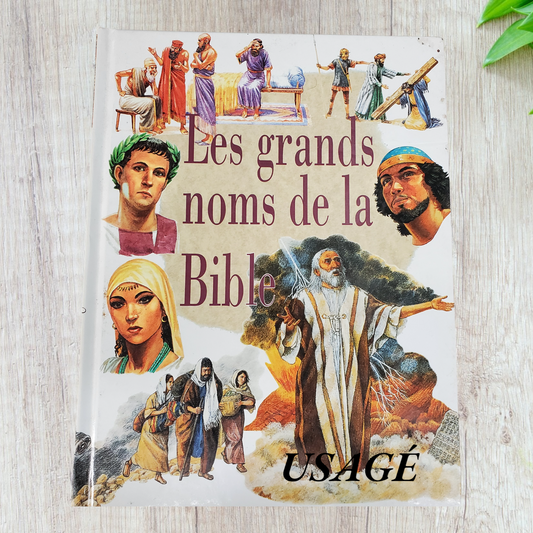 Les grands noms de la bible de Motyer Stephen