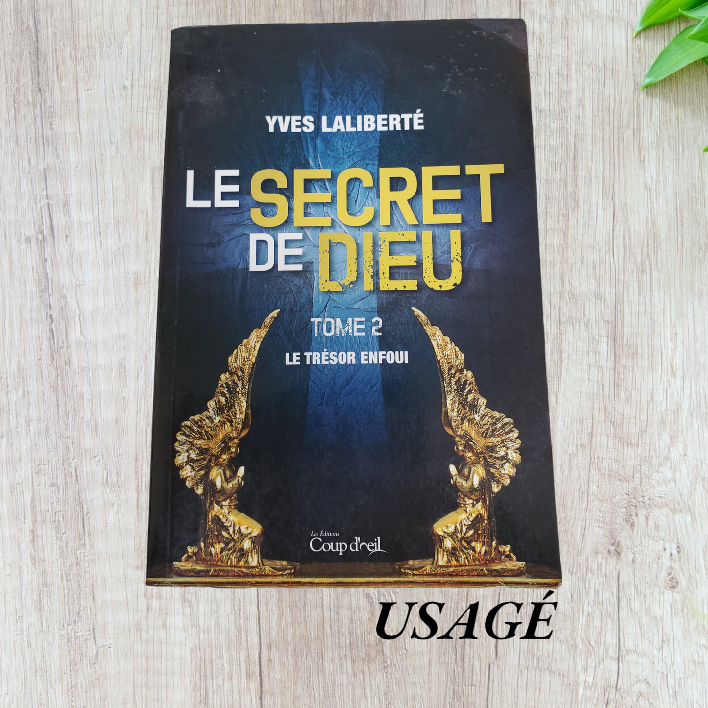 Le secret de Dieu tome 2 Le trésor enfoui de Yves Laliberté