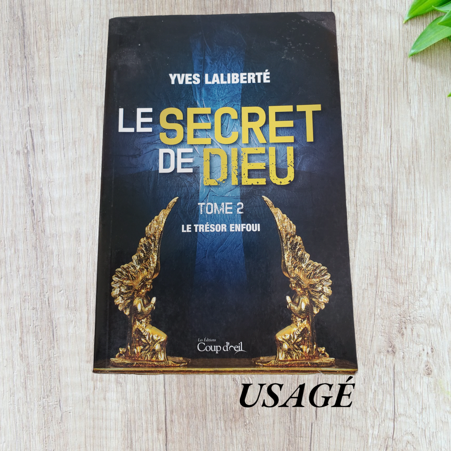 Le secret de dieu