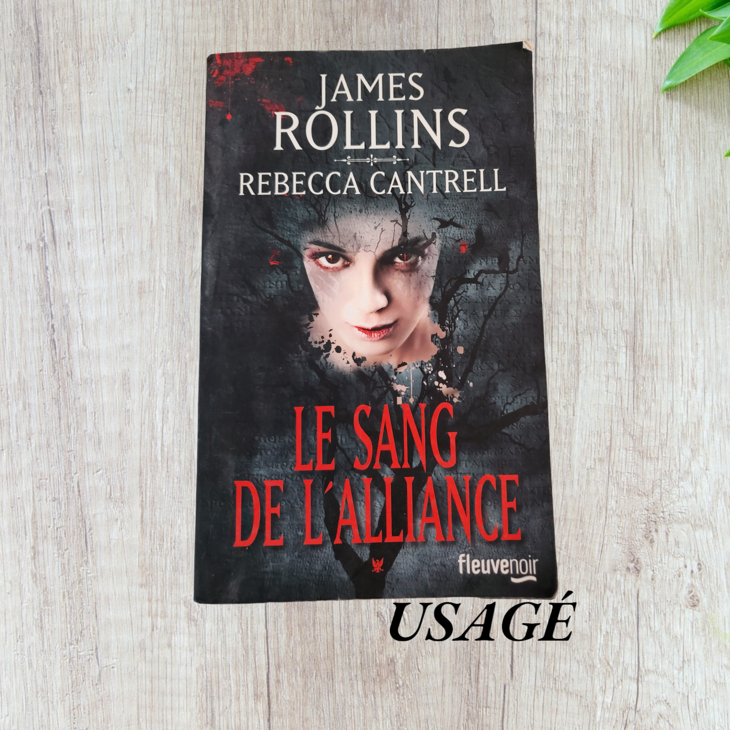 Sang de l'alliance de James Rollins et Rebecca Cantrell