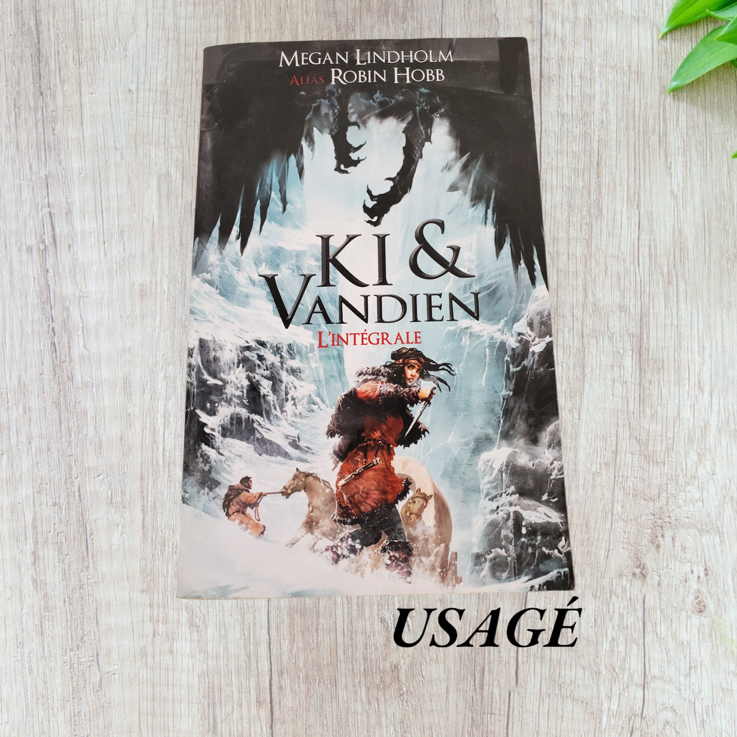 Le cycle de Ki et Vandien - Intégrale de Robin Hobb