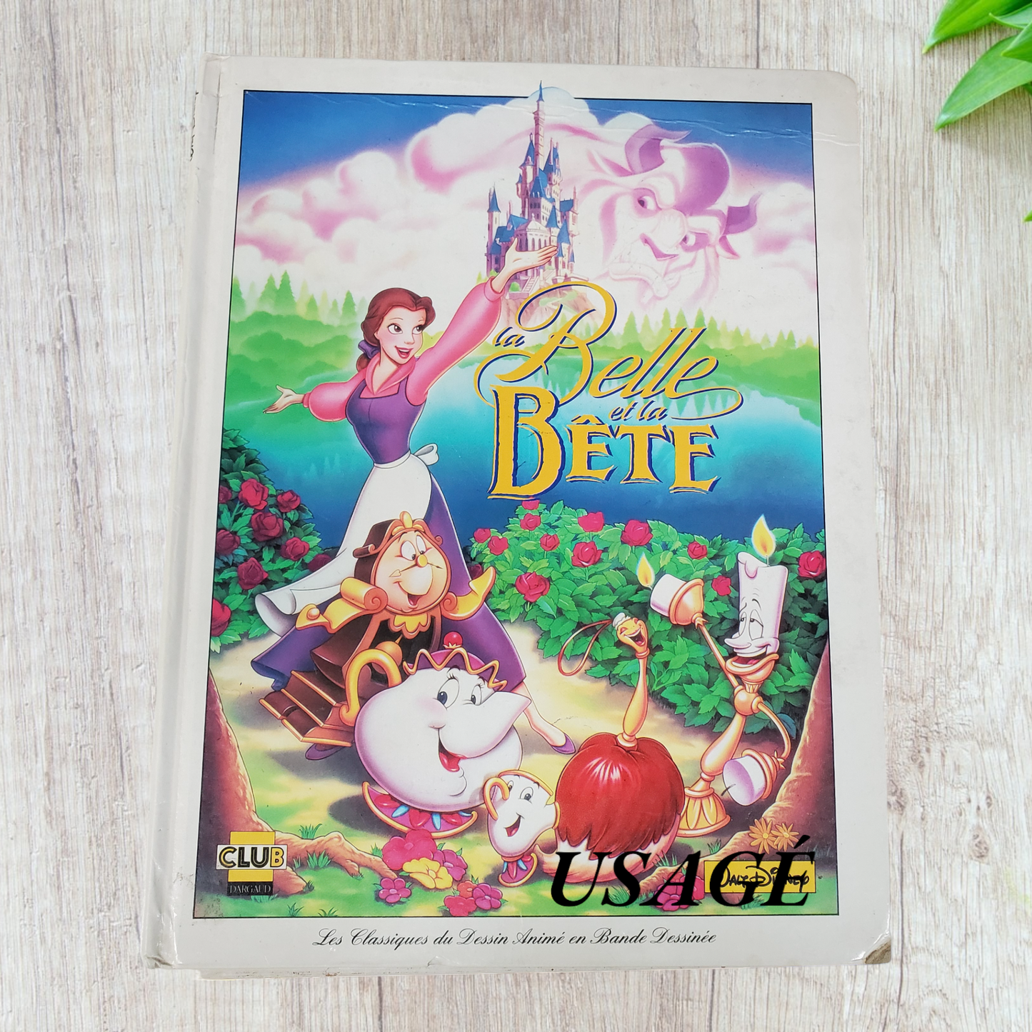 Bande dessinée La Belle et la Bête