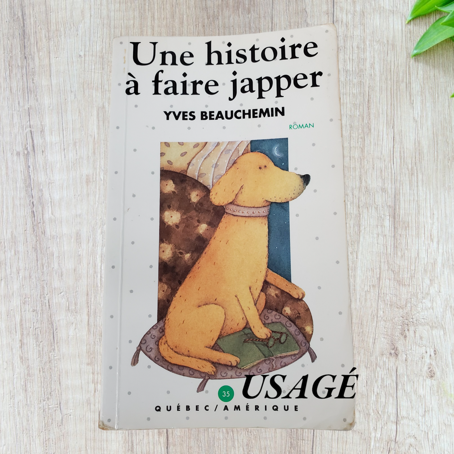 Une histoire à faire japper de Yves Beauchemin