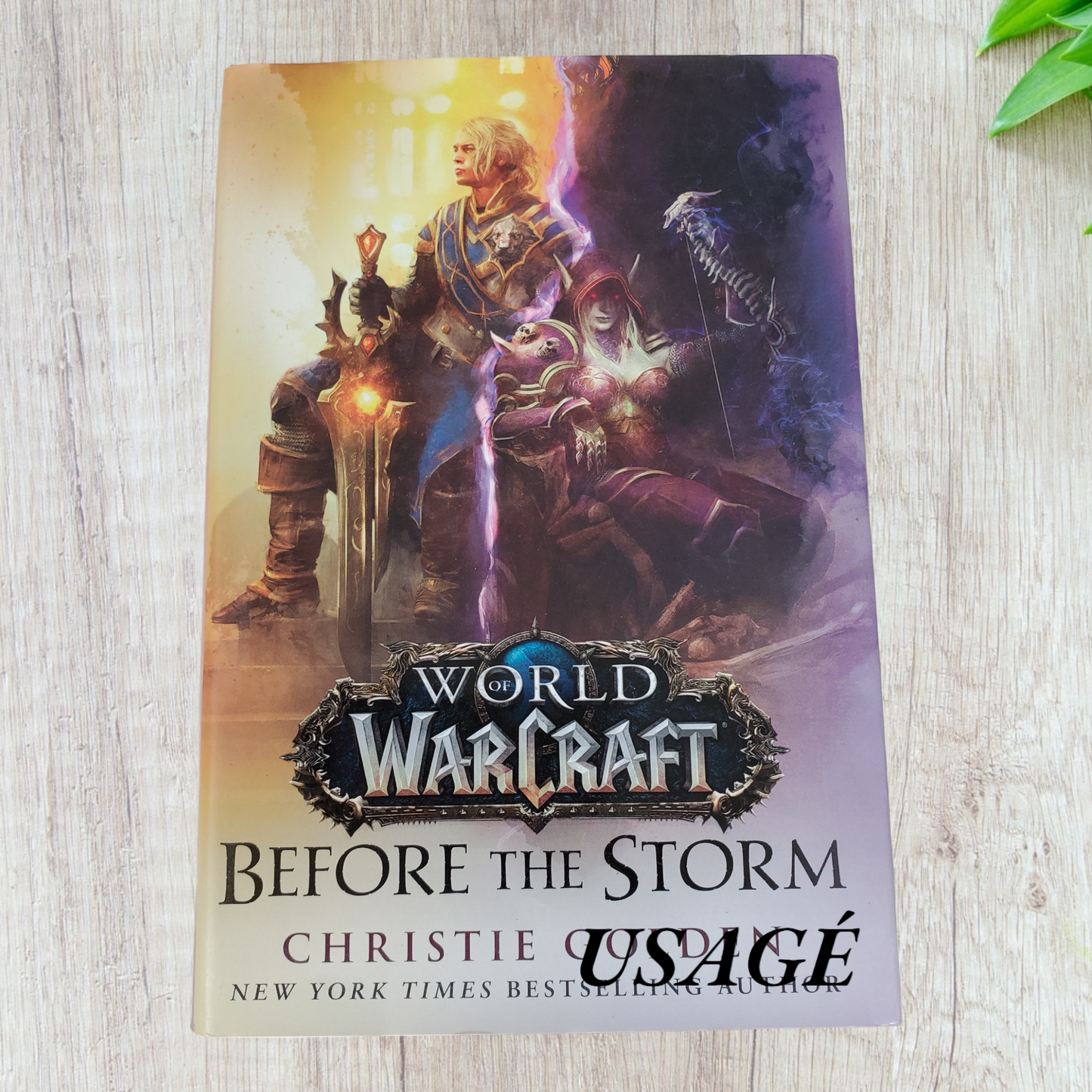 Before the Storm (World of Warcraft) from  Christie Golden