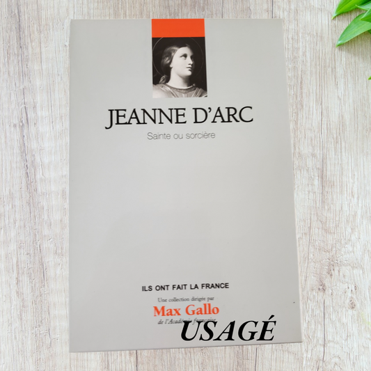 Jeanne D'arc - Sainte ou sorcière, Volume 3 de Max Gallo