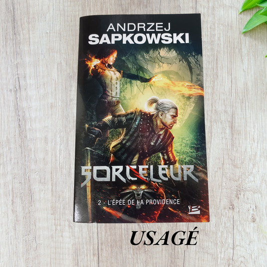 Sorceleur: L'épée de la providence de Andrzej Sapkowsk