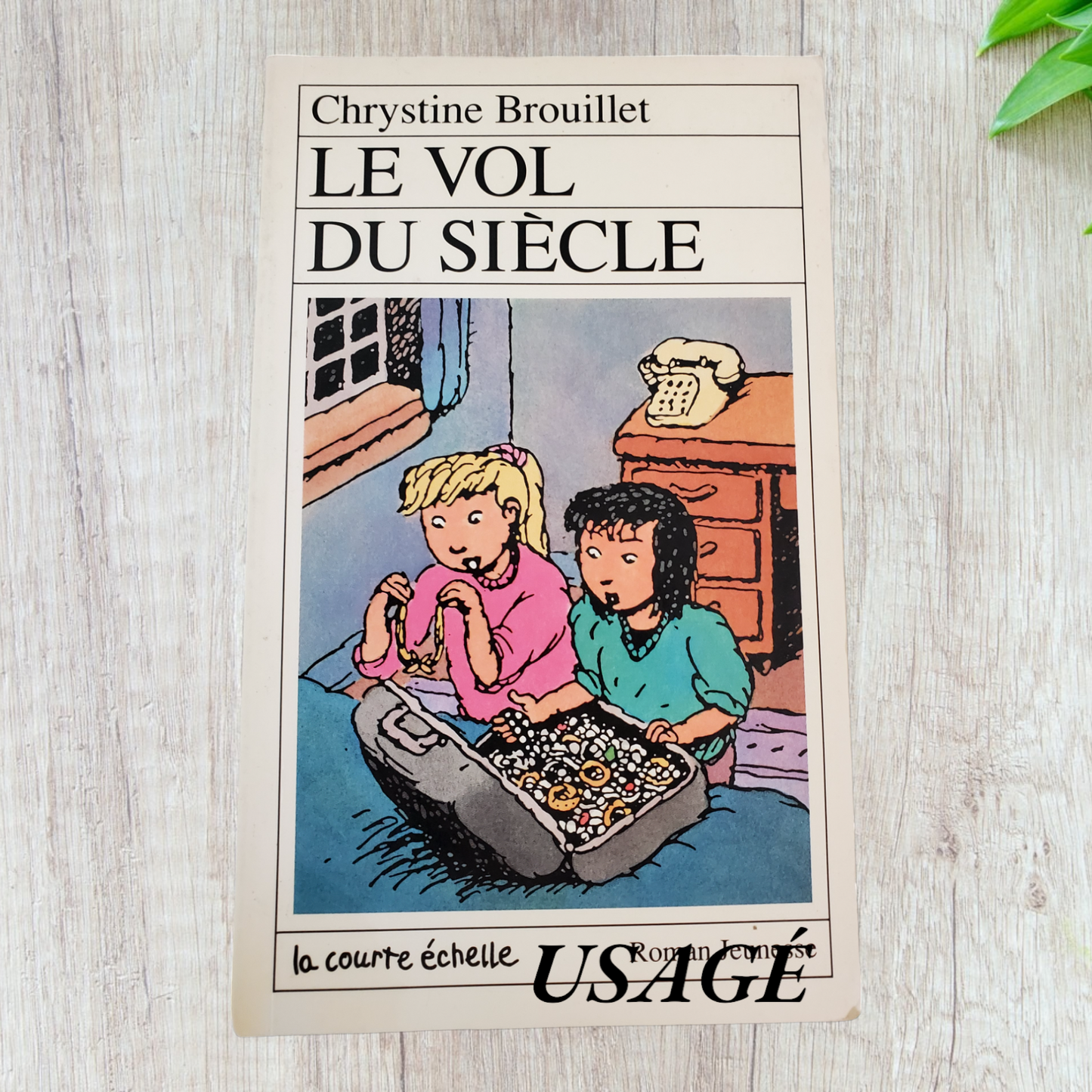 Le vol du siècle de Chrystine Brouillet (courte échelle)