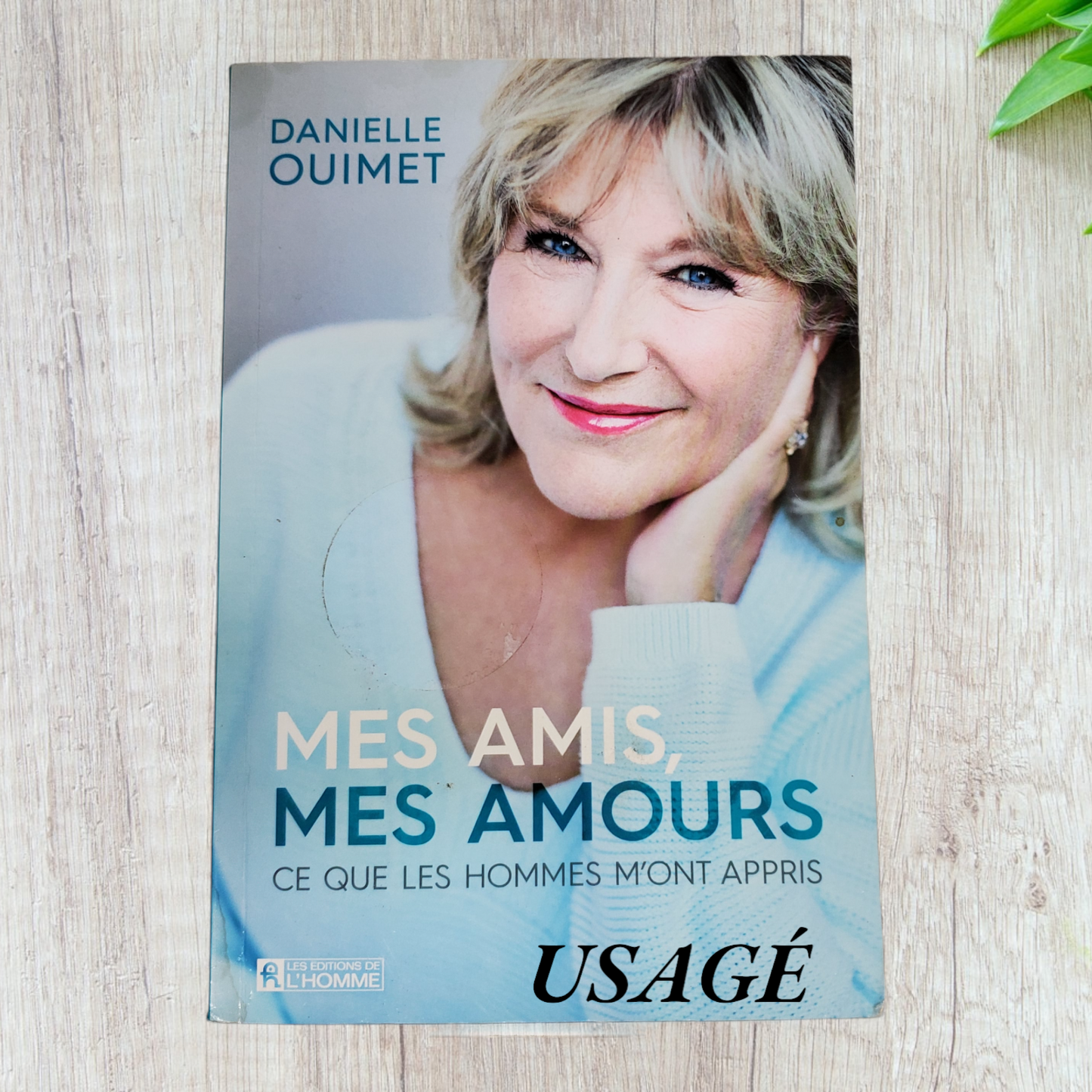 Mes amis, mes amours : ce que les hommes m'ont appris de danielle ouimet