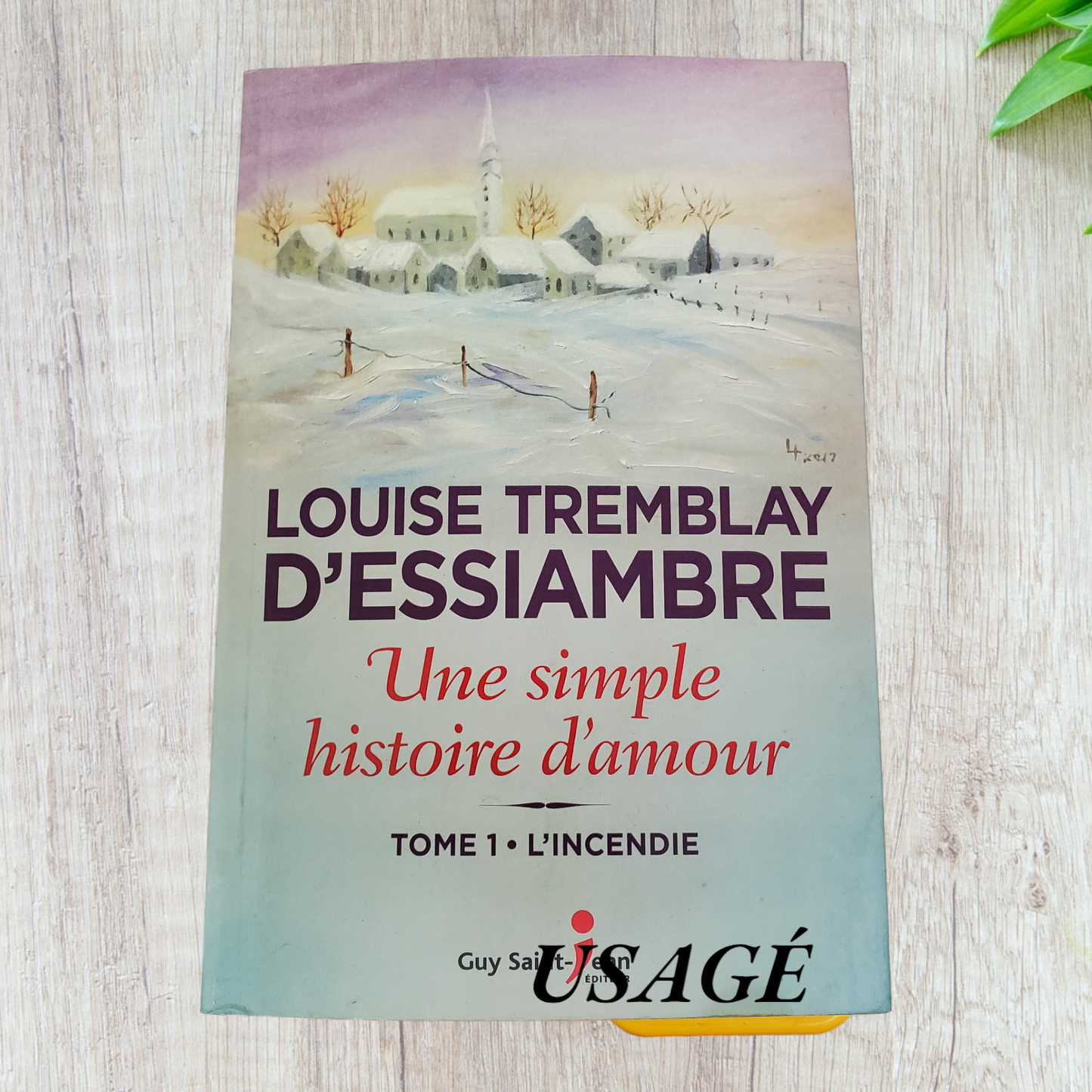 Une simple histoire d'amour Tome 1 de Louise Tremblay D'essiambre