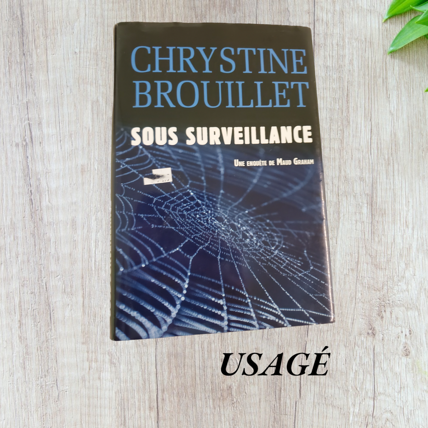 Sous surveillance de Chrystine Brouillet