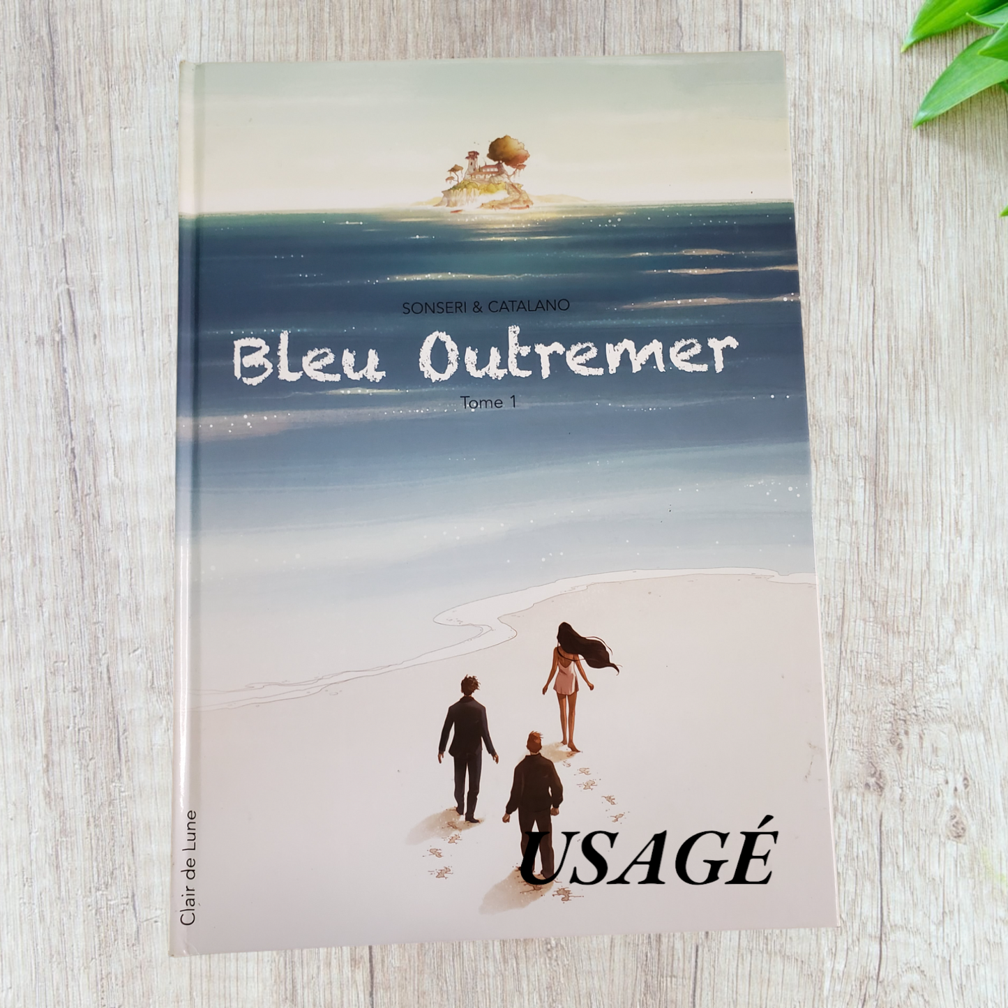 Bleu outremer de Marco Sonseri