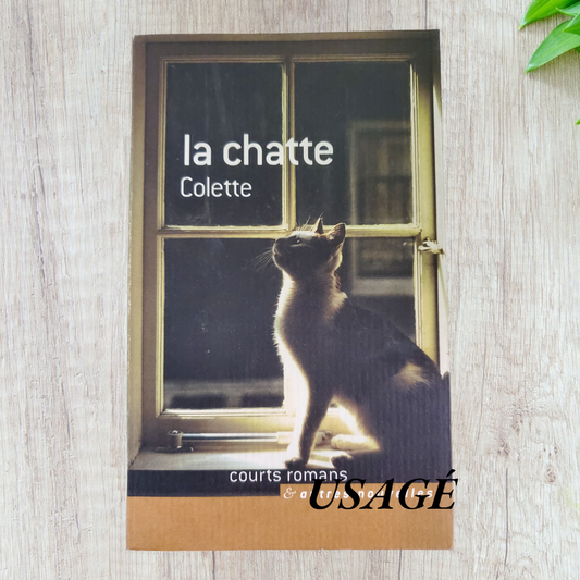 Chatte de Colette