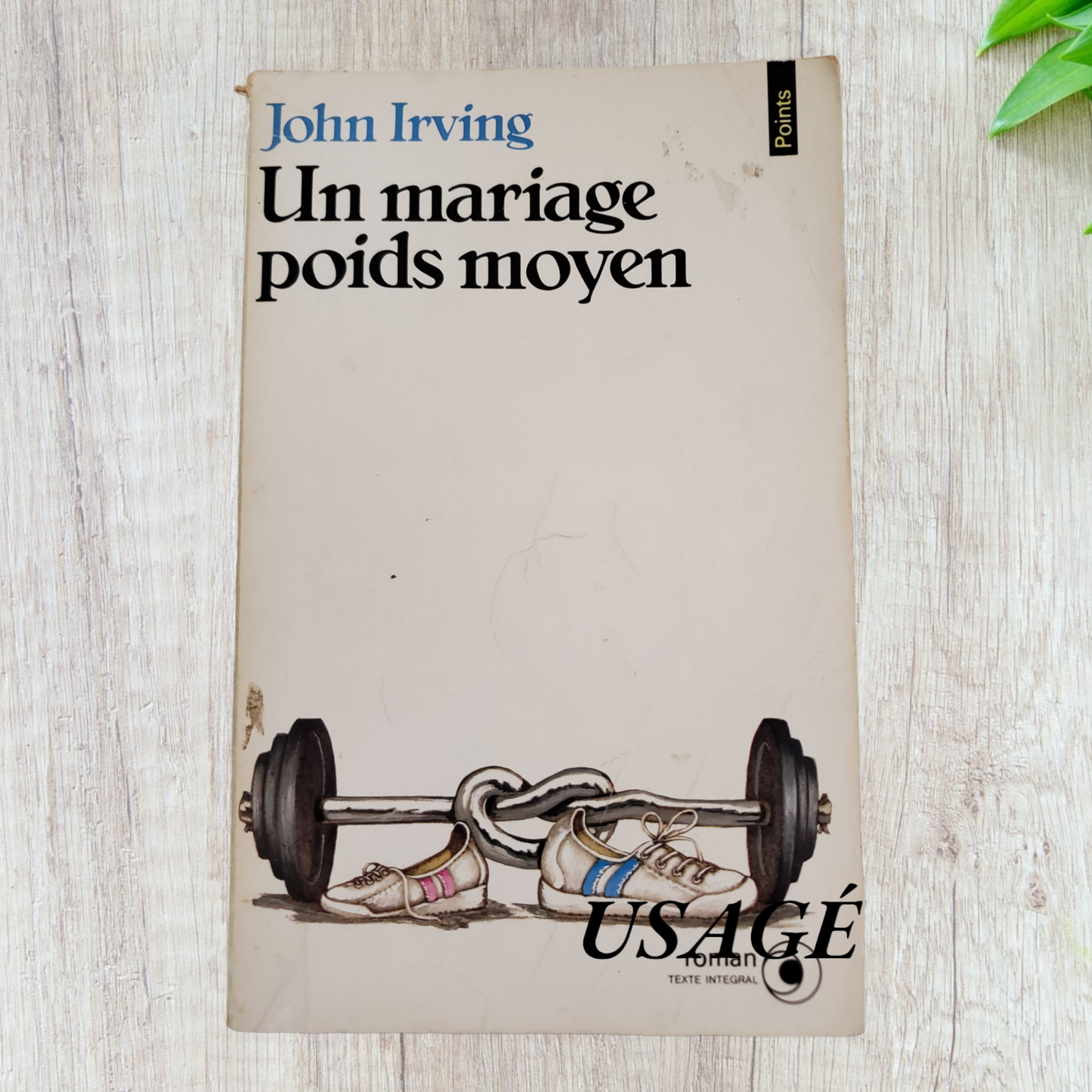 Un mariage poids moyen de John Irving