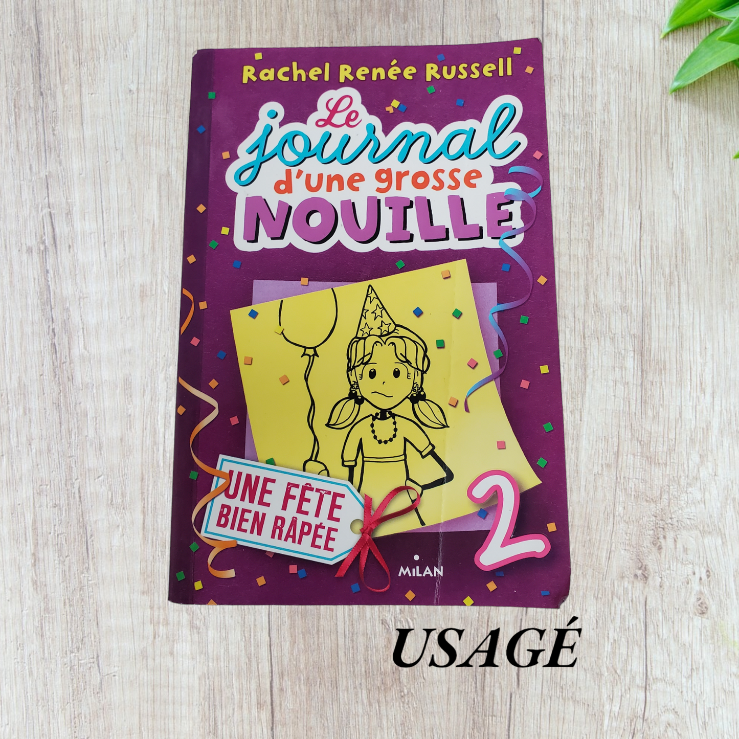 Le journal d'une grosse nouille Tome 2 Une fête bien râpée de Rachel Renée Russell